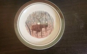 CABELA'S Folkcraft Steinzeug Salatteller 8,5" WEISSER SCHWANZ HIRSCH Ersatz - Bild 1 von 4