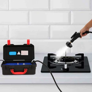 Pulitore a Vapore Alta Temperatura Auto Steam Cleaner Macchina Pulizia 3000W - Foto 1 di 16