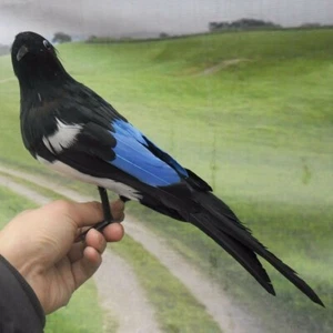Fake Artificial Magpie Bird Realistic Taxidermy Home Garden Decoration Toy 30cm - Picture 1 of 4