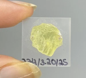PREHNIT Freeform Tropfen ( 7.74 cts.) PREHNITE , Tanzania - Picture 1 of 1