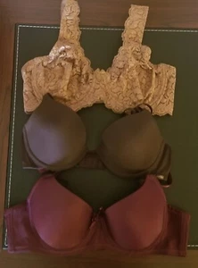 34B BRA LOT 3 BRAS UNDERWIRE Sofra Calvin Klein Maroon Solid Lightly Padded Lace - Picture 1 of 13