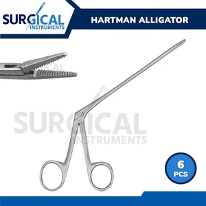 6 Alligator Forceps 6.5" Surgical Veterinary Instruments Stainless German Grade - Picture 1 of 9