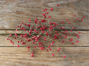 Floral Spray Red Pip Berry Pick Primitive Decor Craft Supply 26 inch - Picture 1 of 4