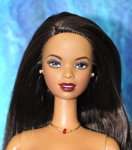 Barbie desnuda Asha Hazel Eyes AA AAPI multirracial cabello liso castaño DBox4 ÚNICO EN SU CLASE - Imagen 1 de 9