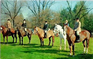 Vintage Postcard Kentucky Horse Shows Annual Fox Hunts 1960s Postcard  Riders - Picture 1 of 3