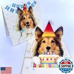 Momapopup 3D Pop-Up Shetland Sheepdog Birthday Card - Sheltie Dog with Cake C - Picture 1 of 4