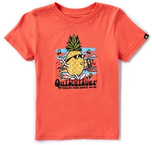 Quiksilver Little Boys T-Shirt 2T- 7X Pineapple Vibes Short Sleeve Crewneck Tee - Picture 1 of 5