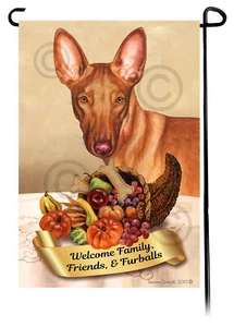 Bandera de jardín de acción de gracias - Pharaoh Hound 099 - Imagen 1 de 1