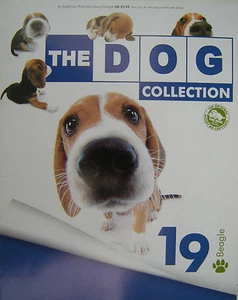 The DOG COLLECTION - Issue No.19, Beagle, Magazine - Imagen 1 de 6