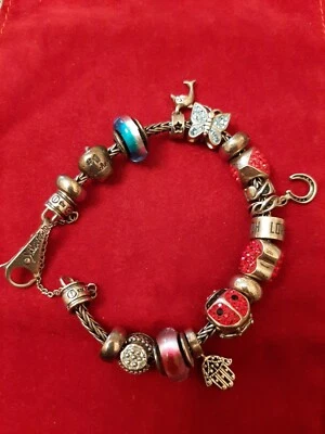 SilveRado 19 Charm Bracelet in Sterling Silver 925 Foto 1 de 4