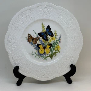 Royal Cauldon Butterflies Plate by Holmes Gray - Foto 1 di 3