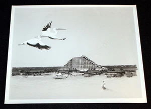 Walt Disney World 1969 PHOTO Polynesian Abandoned Concept Design Vintage - Picture 1 of 5