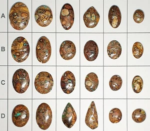 52223 - 6 Very Unusual Australian Peanut Boulder Opal from 1970's Last available - Picture 1 of 12