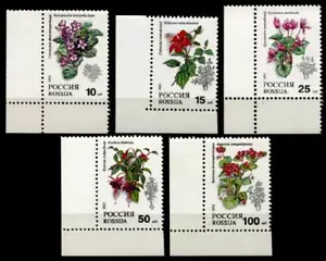 Blumen. Zimmerpflanzen. 5W. Eckrand (3). Rußland 1993 - Bild 1 von 1