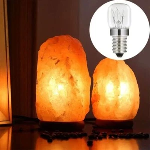 2pcs 15W Pygmy Light Bulbs E14 Lamp Filament Light Bulb Salt Lamp Bulb kitchen - Picture 1 of 14