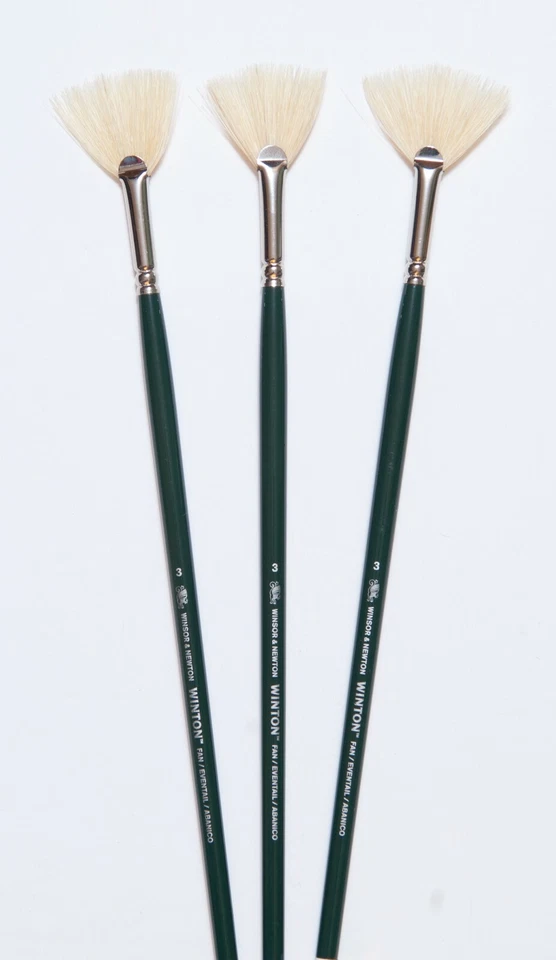 Juego de cepillos ventilador pelo cerdo Winsor Newton tallas 1,3,5 LISTA $62,00 AHORA $35. Foto 1 de 1