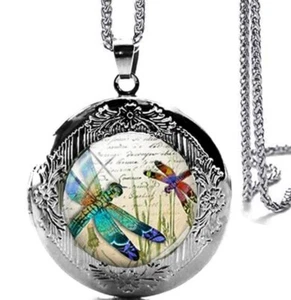 Beautiful Dragonfly Locket Pendant Necklace with 24" Stainless Steel Chain - Picture 1 of 3