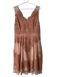 Yoana Baraschi Lace Overlay Celestina Dress Women 10 Blush Pink Feminine Elegant - Picture 1 of 7