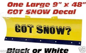 Got Snow Plow Decals ANY COLOR for your Meyer Fisher Western Boss Snow Plows - Picture 1 of 1