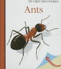 Ants GC English Mettler Rene Moonlight Publishing Ltd Hardback
