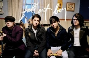 FALL OUT BOY POSTER Amazing Group Shot RARE NEW HOT - Picture 1 of 1
