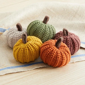 Mini Knit Pumpkins Set of 5, Hygge Decor, Cozy Gifts for Women, Autumn Bowl Fill - Foto 1 di 12