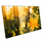 Sunny Golden Yellow Maple Leaf Green Autumn Foliage Forest Nature Print Canvas