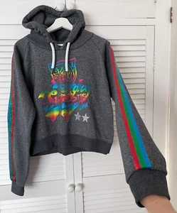 Superdry Hoodie Grey Pullover UK 16 Sweatshirt Rainbow Panthers Sequin Sparkle - Picture 1 of 24