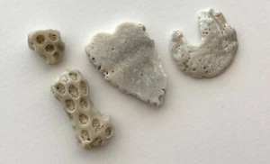 Lettera naturale a forma di I ❤️U spiaggia conchiglie cuore conchiglia artigianato arte San Valentino USA - Foto 1 di 11