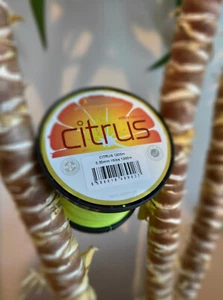 Filo Da Pesca Neon Fluo Giallo 600M - 1200M Monofilo Delphin Citrus - Foto 1 di 2