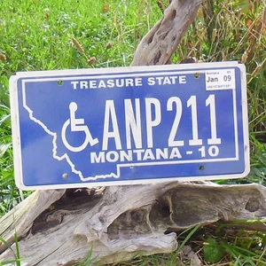 Autentico Targa Montana (ANP211) USA Targa - Bild 1 von 1