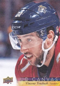 VINCENT TROCHECK 2017-18 17-18 CUBIERTA SUPERIOR 1 LONA PARALELA #C36 FLORIDA - Imagen 1 de 1