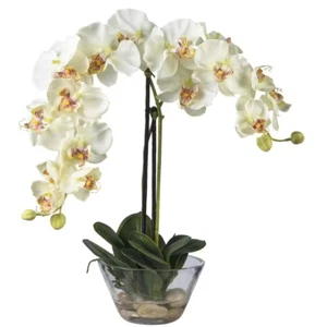 Double Phalaenopsis with Glass Vase Silk Flower Artificial Arrangement - Picture 1 of 12