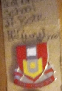 Scotland School &West Forest HS Jr. ROTC pins - Picture 1 of 3