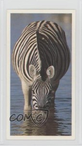 1992 Brooke Bond Natural Neighbors Tea Zebra #29 0ba6