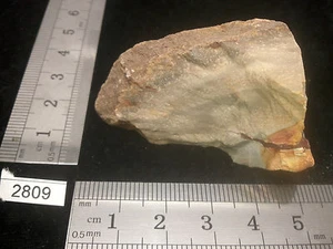 Bois fossile pierre brute mineraux collection pétrifié reiki esoterisme brut - Picture 1 of 3