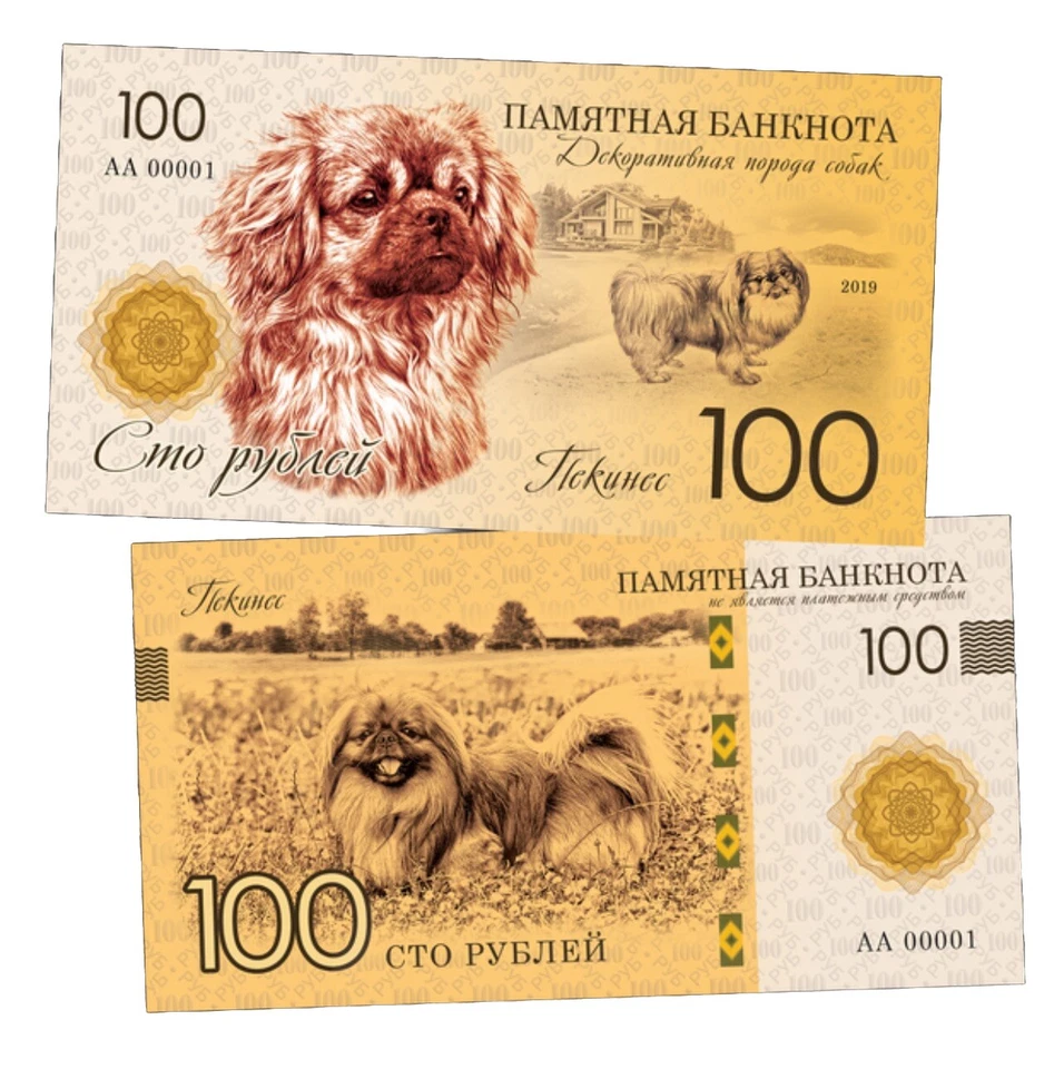 Russia, 100 Rubles, 2019, PEKI, Ative Dog Breed, Commemorative Banknote, UnCB - Image 1 of 1