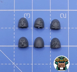 Warhammer 40K Space Marines Deathwatch Kill Team Phobos Schulterpolster - Bild 1 von 2