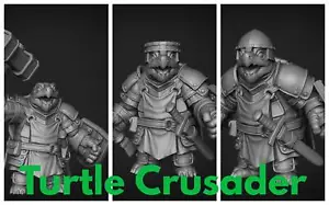 Paladin Schildkröte Set 2 - Fantasy, RPG, Goons Miniatur, Dnd, D&D, Schildkrötenkleriker - Bild 1 von 5