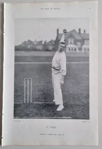 1899 Antique Large Photo Print GEORGE GILL Cricketer SOMERSET Cricket 59 - Picture 1 of 1