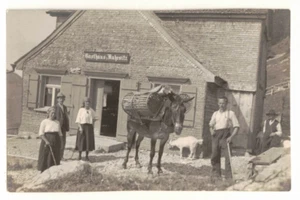 um 1930 Echtfoto PC: Familie & Bauernhoftier vor Gasthaus Ruhesitz - Bild 1 von 2