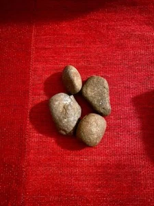 AKOSE IFA PARA QUE SANGO DE LOTE ANTIGUO AYUDA ATACANDO - Imagen 1 de 1