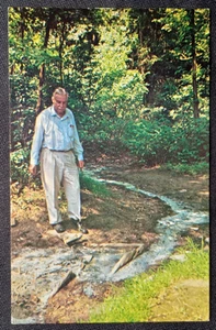 POSTAL SHAWNEE HILLS “SALT WELL” ILLINOIS SIN PUBLICAR DE COLECCIÓN - Imagen 1 de 2