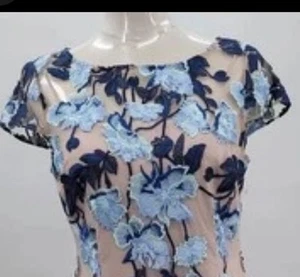 Adrianna Papell Sheath Dress Womens 2 Midnight Nude Floral Embroidered Belted - Picture 1 of 12