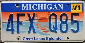 TARGA Originale USA auto MICHIGAN Serie Speciale Ponte Lakes Splendor Americana - Imagen 1 de 6