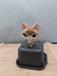 Hasbro Littlest Pet Shop Auténtico LPS # 673 Marrón Tostado Zorro Azul Lágrima Leer - Imagen 1 de 17