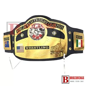 NWA World Heavyweight Championship Replica Belt Title 2mm Brass Metal plates - Picture 1 of 12