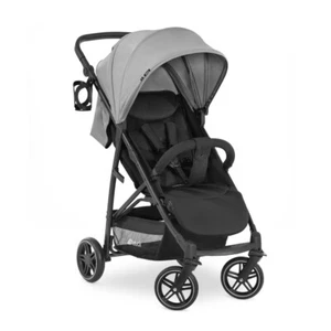 Hauck Sportwagen Buggy Rapid 4R Plus Grey - Bild 1 von 4