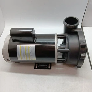 230V 2-Speed 56-Frame Spa Pump (3721221-1D) - Picture 1 of 11