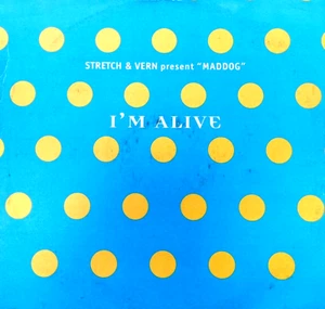 STRETCH & VERN - IM ALIVE - 12” VINYL RECORD - 90S HOUSE TRANCE DANCE DJ - Imagen 1 de 5